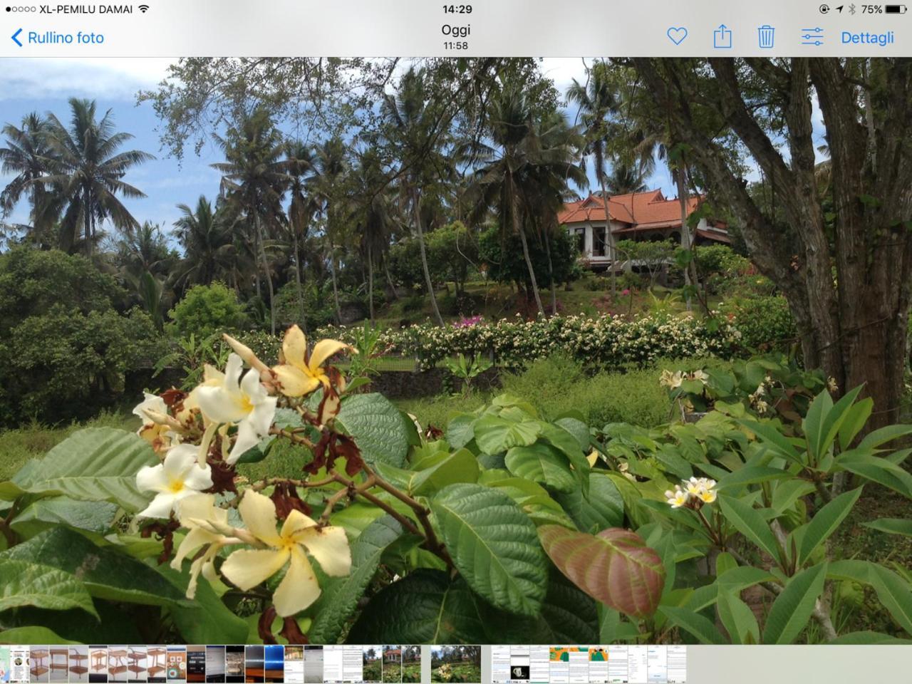Green Hill Dream Karangasem  Exterior photo
